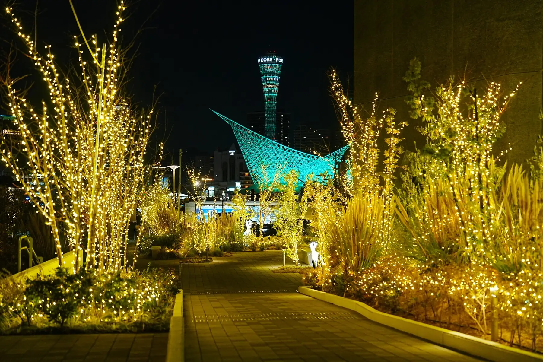 神戸新港町でクリスマス！ポートミュージアム巨大ツリー点灯のイメージ画像