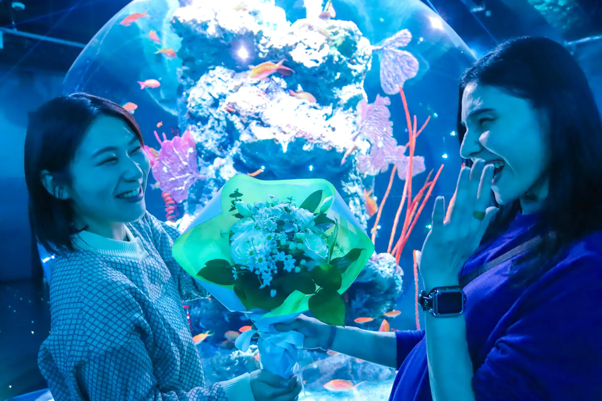 神戸新港町でクリスマス！ポートミュージアム巨大ツリー点灯のイメージ画像