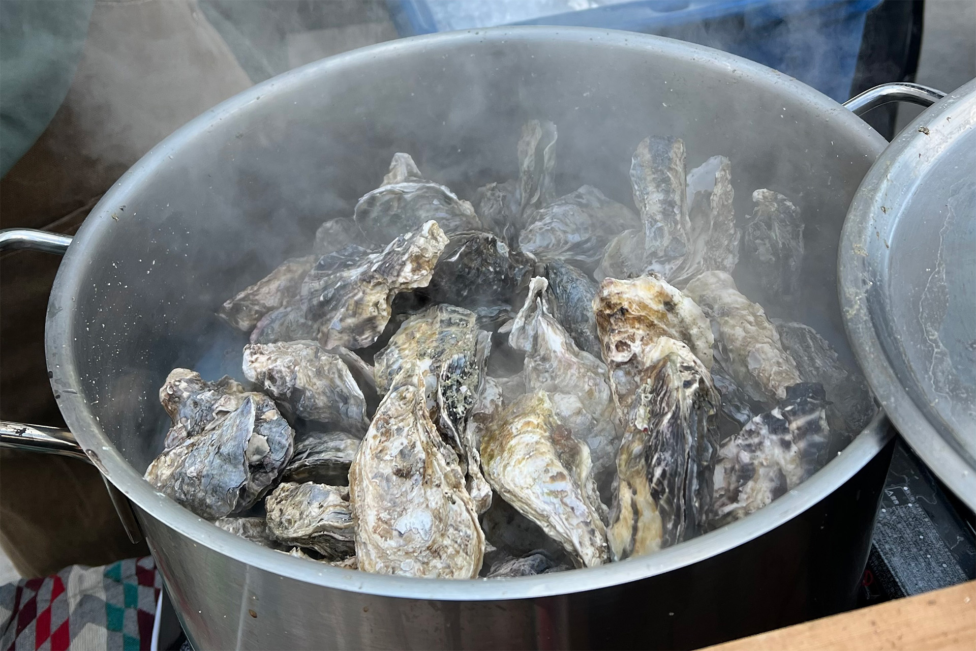 明石 牡蠣小屋 ZAZAZA 冬の味覚！相生産牡蠣食べ放題が手頃にのイメージ画像