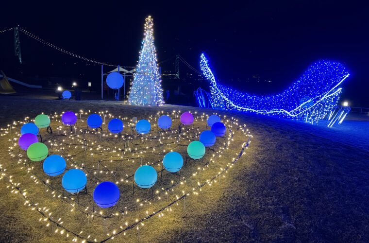 光輝くクジラとイルカ！大蔵海岸ハートフルイルミネーションで感動体験のイメージ画像