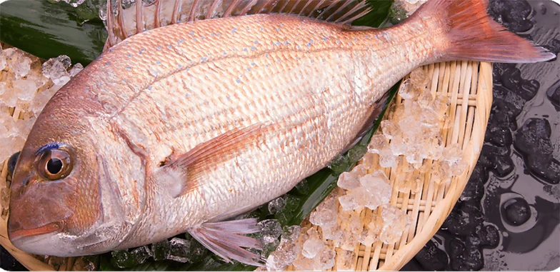 垂水平磯海づり公園年 末恒例「正月用活魚直売会」地元で新鮮な魚を！のイメージ画像