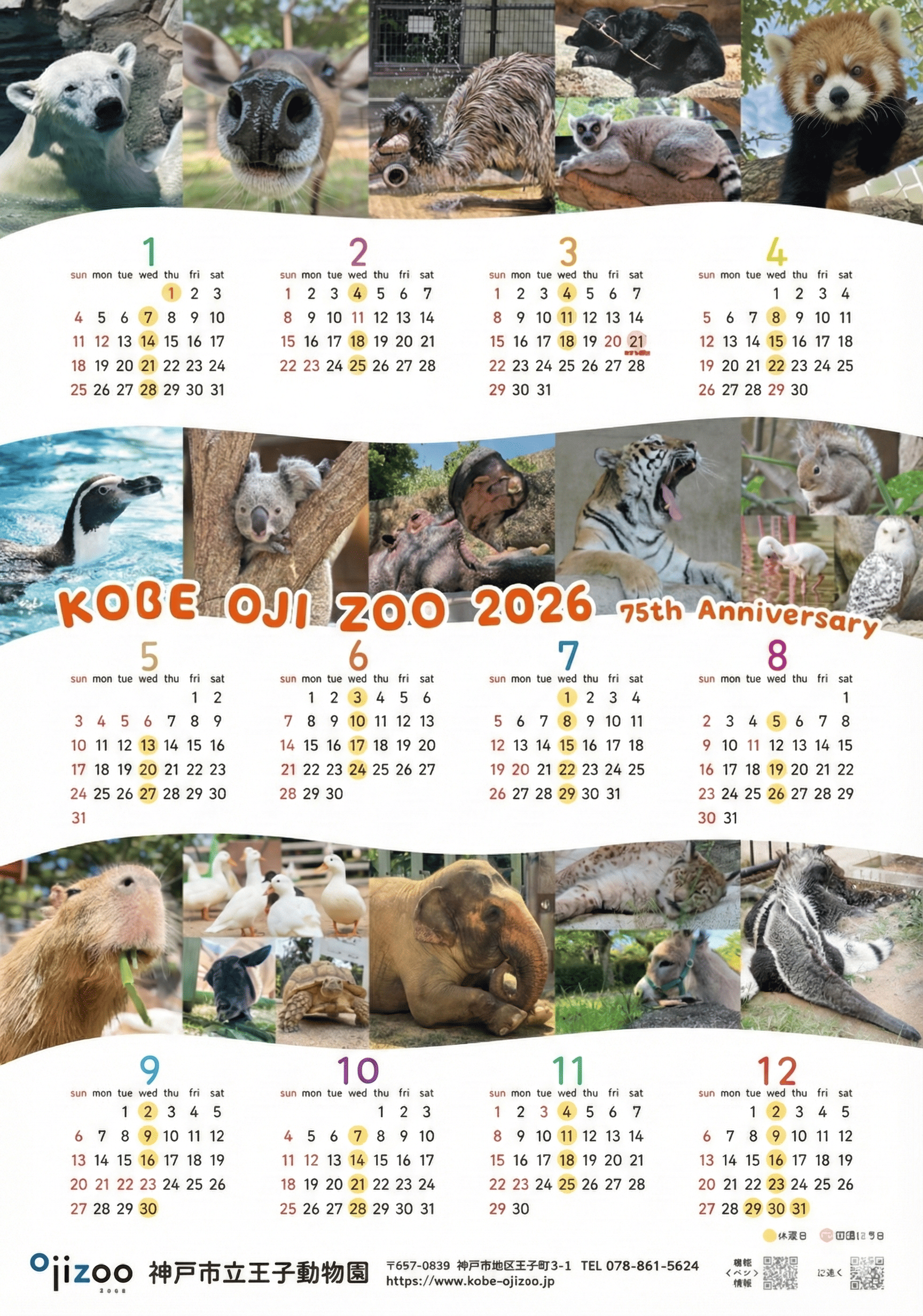 王子動物園：2026年カレンダー、新年3日間先着プレゼント！のイメージ画像