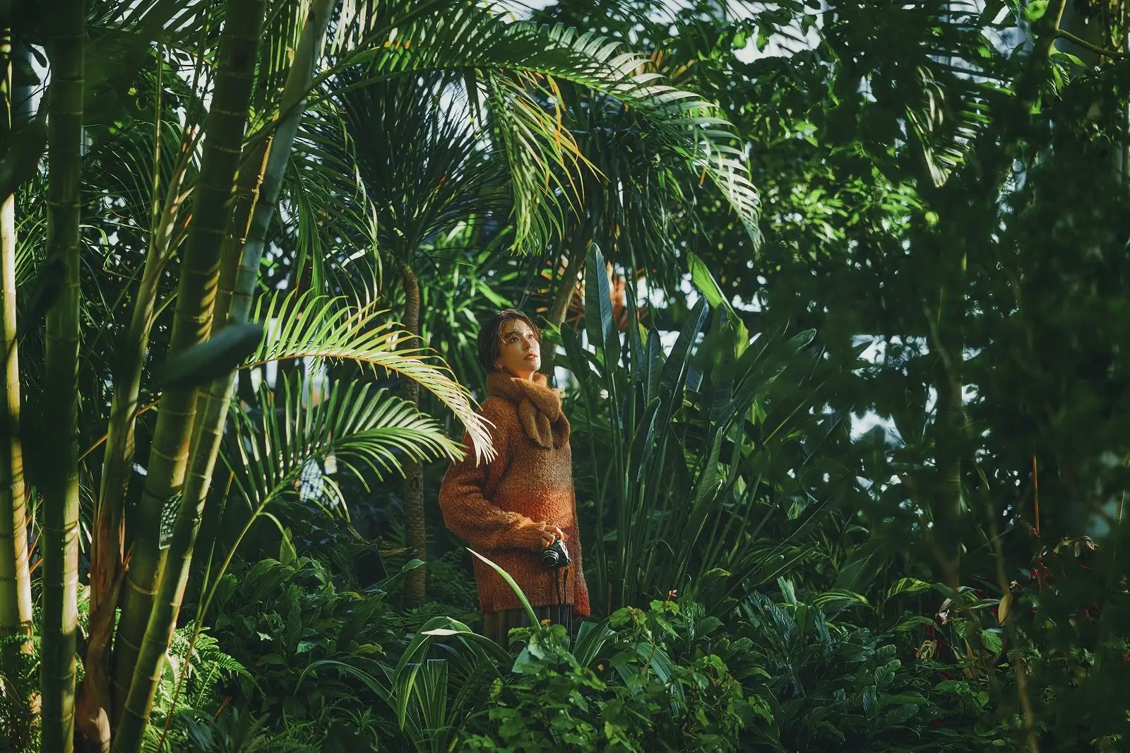 神戸布引ハーブ園「Winter Garden Fair 2026」ハートと花で温まる冬の庭園のイメージ画像