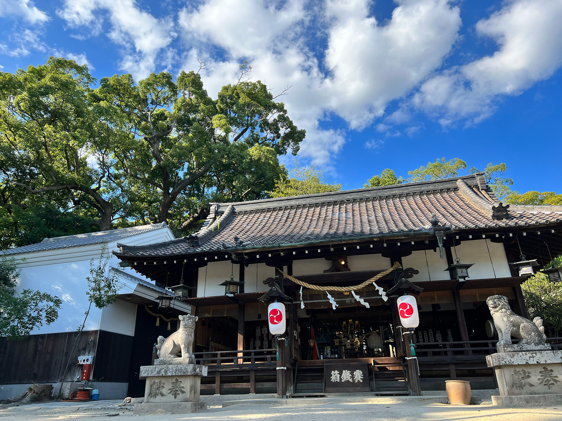 神戸ファーマーズマーケット2026冬 磯上公園・六甲八幡神社・弓弦羽神社で開催！のイメージ画像