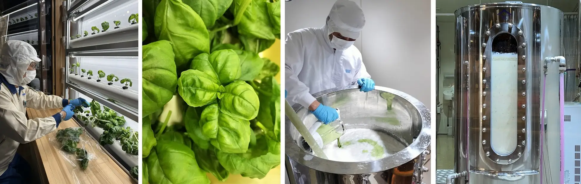 ハーブ香るSAKE誕生！白鶴酒造が発酵CO2で循環型ものづくりのイメージ画像