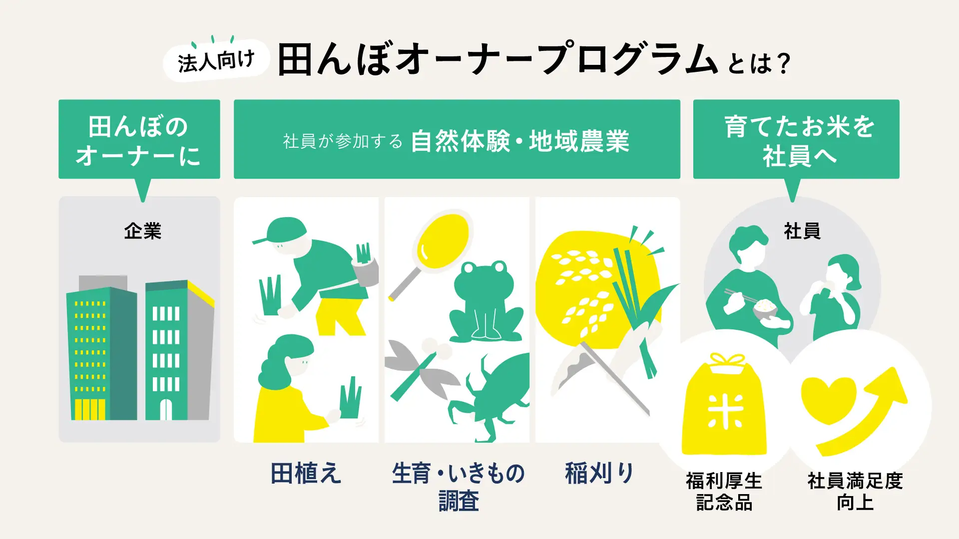 丹波篠山で法人向け田んぼオーナー制度開始！農業体験で福利厚生を充実のイメージ画像