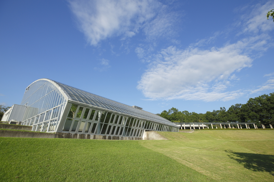 加古川 びっくり市 1/31開催！1周年記念 神戸牛・播州牛がお得のイメージ画像